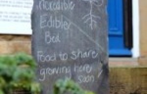 Incredible Edible World Film