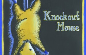 Knockout Mouse Launches On Kickstarter