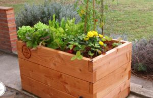 Grow anything with the Haut-Potager Kitchen Garden Kit on Kickstarter