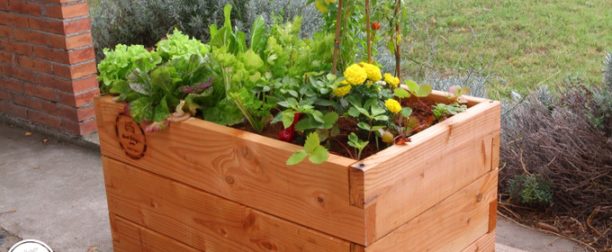 Grow anything with the Haut-Potager Kitchen Garden Kit on Kickstarter