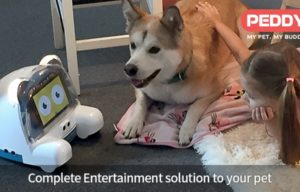 Peddy, Your Pet’s Home Entertainment Robot, Launches on Kickstarter