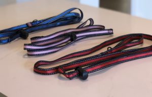 Introducing Toggle Leash “The Convenient And Easy On The Go Leash That Doesn’t Require A Collar.”